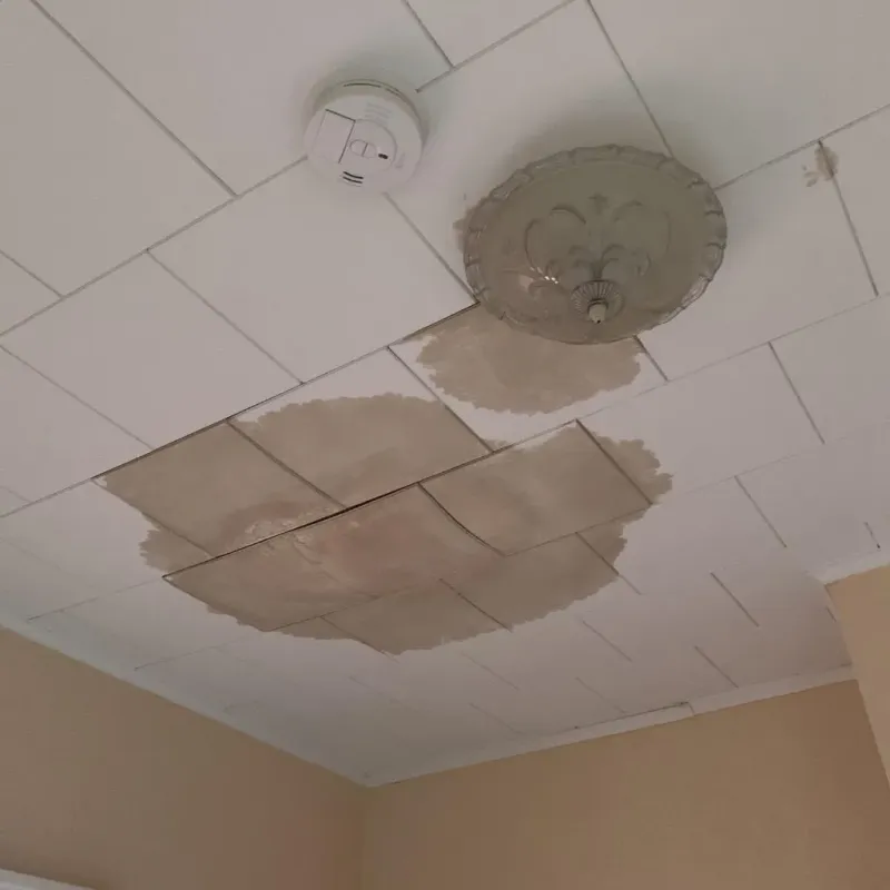 Ceiling Water Damage Repair in Bayou Gauche, LA