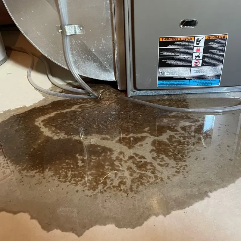 Pipe Burst and Leak Restoration in Bayou Gauche, LA