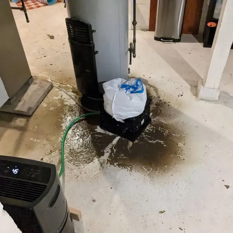Sewage Backup Cleanup Service in Bayou Gauche, LA